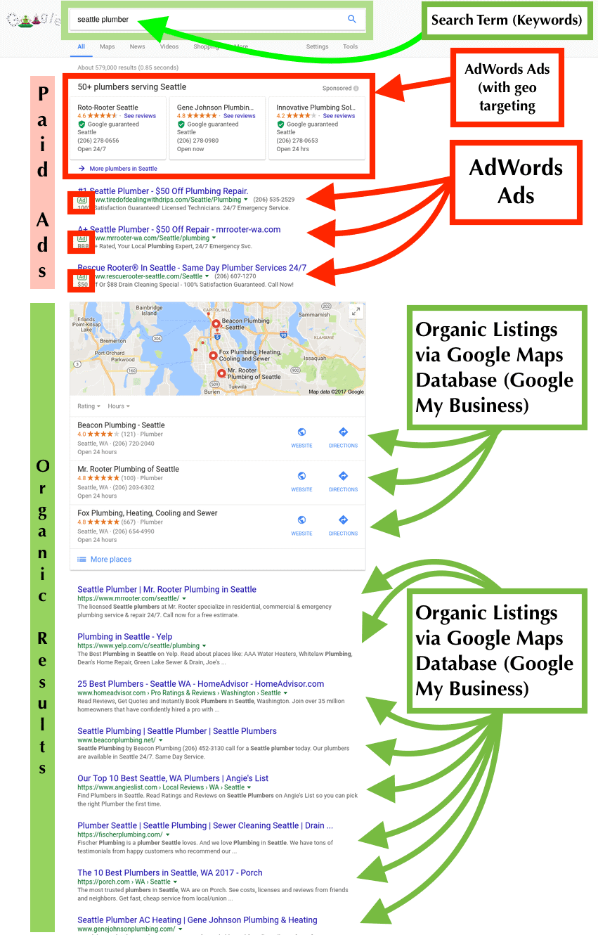 SERP Infographic