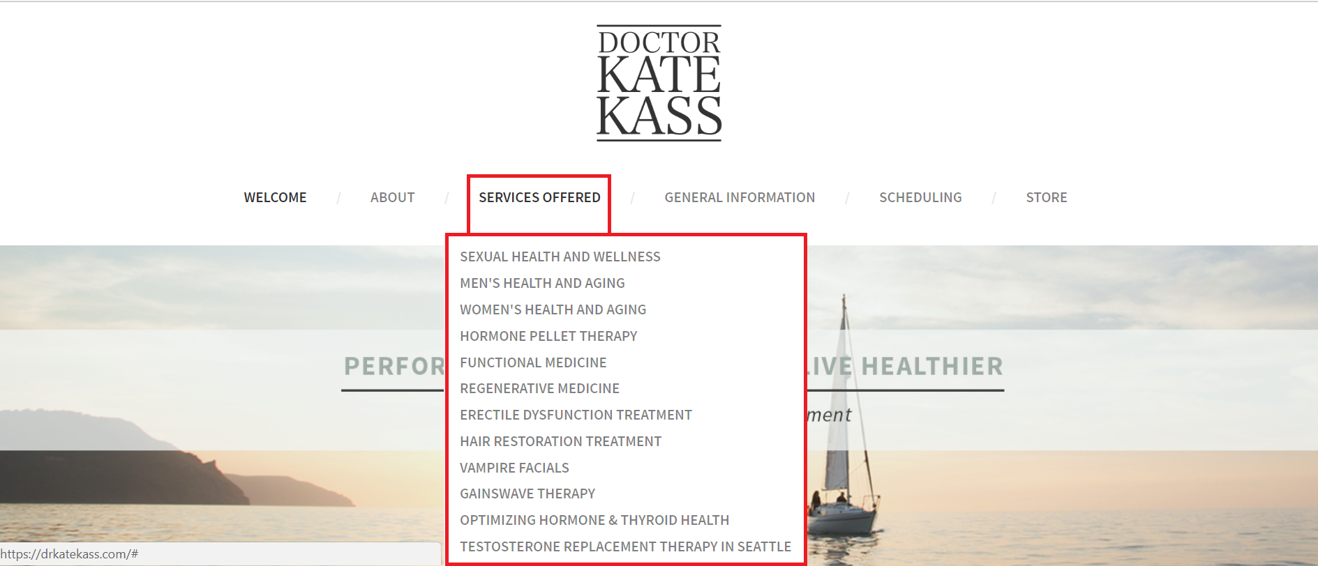 A detailed visual representation of essential SEO strategies for medical practices, highlighting effective patient acquisi