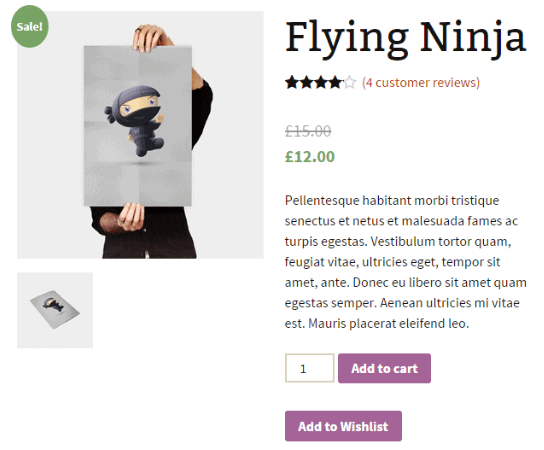 Flying ninja