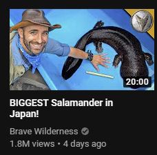 youtube thumbnail size, still